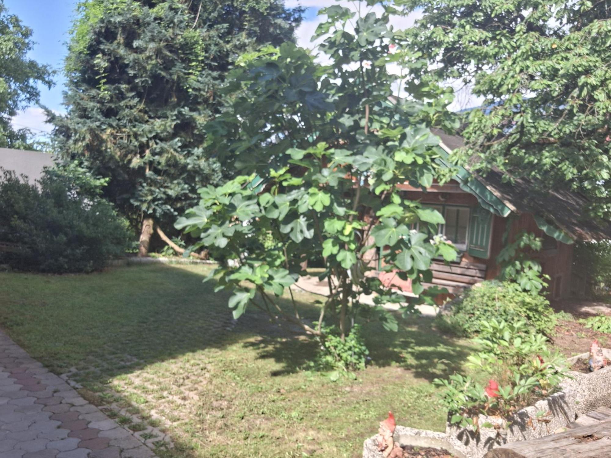 Villa Ganzes Haus Mit Almcharakter Lieserbrücke Esterno foto